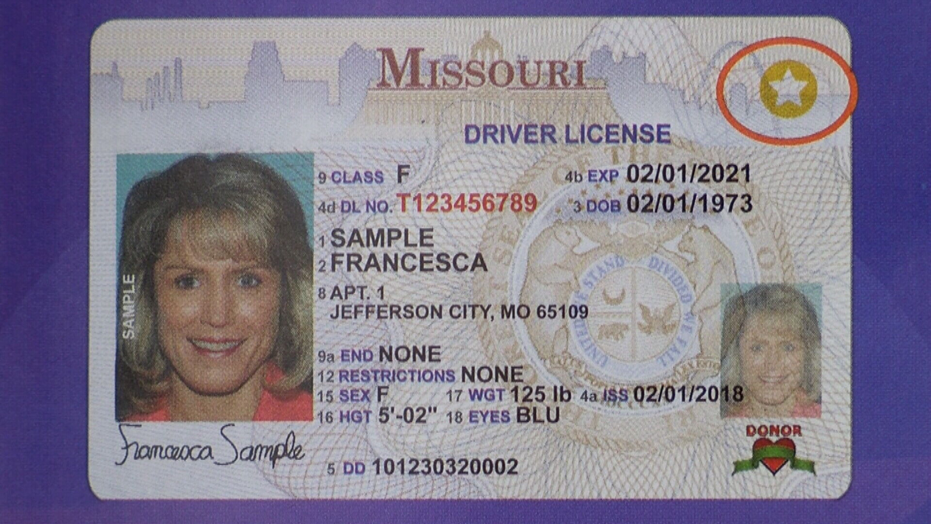 Getting Caught With A Fake Id In Missouri